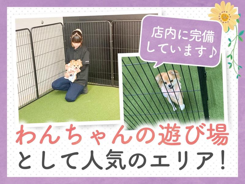 株式会社ラビータ　ラビータ東古松店のアルバイト・バイト求人情報-04