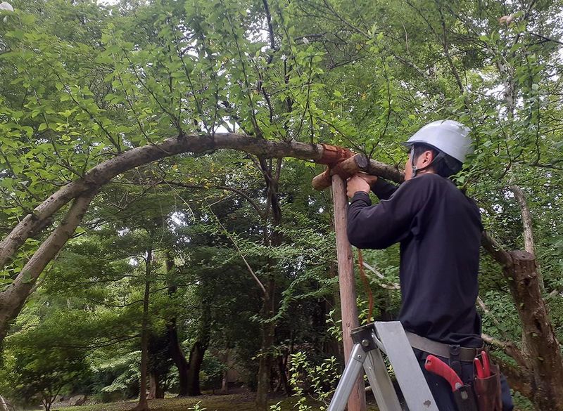 一般財団法人　国民公園協会　京都御苑のアルバイト・バイト求人情報-05