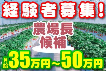 上高運輸株式会社の求人・転職情報
