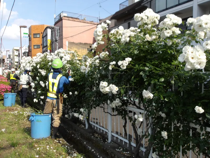 有限会社花代緑化の求人・転職情報