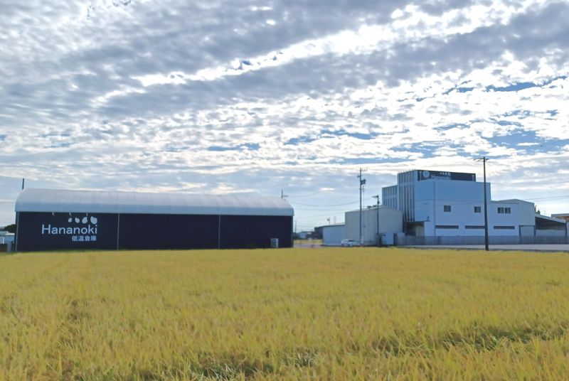 株式会社ハナノキの求人・転職情報