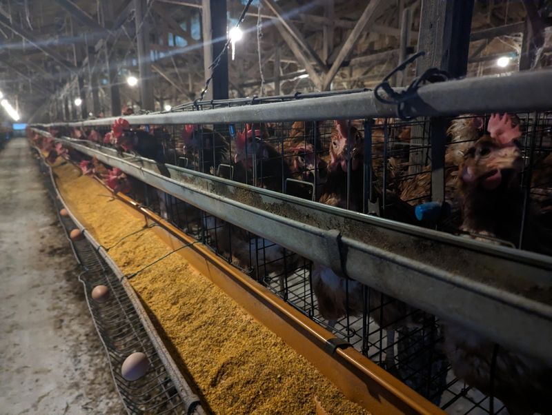 株式会社サンサンエッグ　GPセンターのアルバイト・バイト求人情報-03