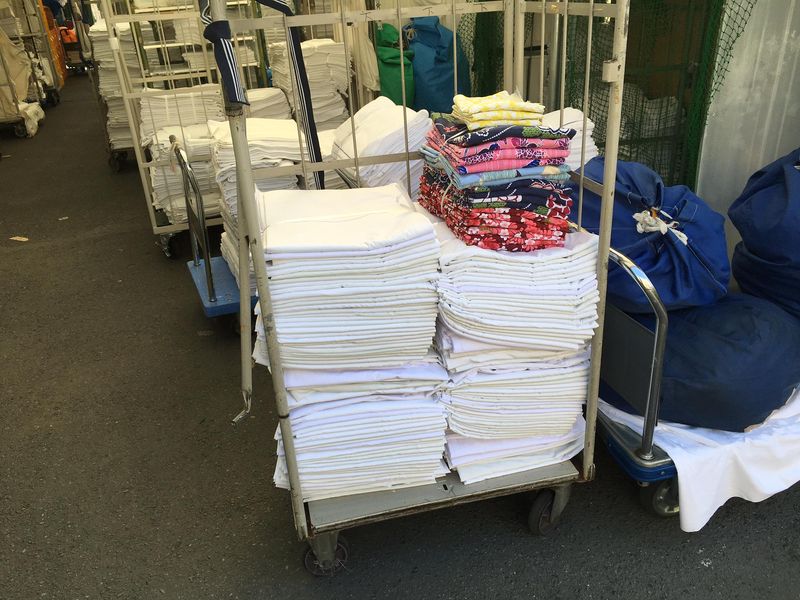 株式会社美洗舎の派遣求人情報