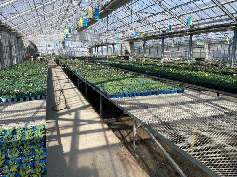 有限会社　小林農園