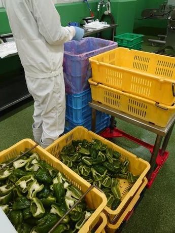 ぎょうざの満洲　坂戸工場　餃子1課のアルバイト・バイト求人情報-25