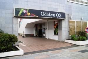 Odakyu OX ]mX