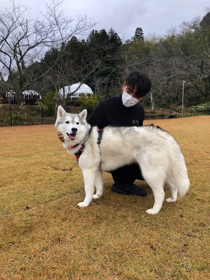 GLAMHIDE WITH DOG KOMATSUのアルバイト・バイト求人情報-05