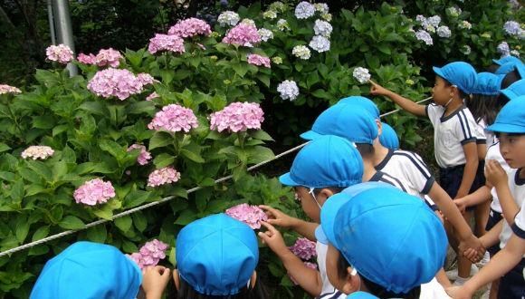 福山りじょう幼稚園のイメージ4