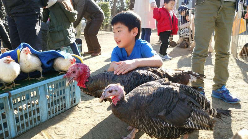 株式会社どうぶつむら　相模湖飼育所のアルバイト・バイト求人情報-03