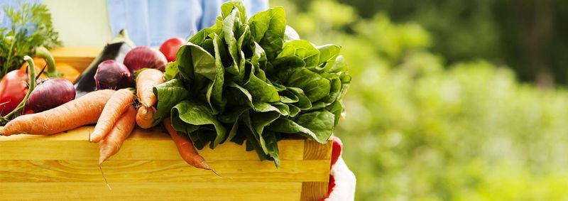 福岡営業所の求人・転職情報-04