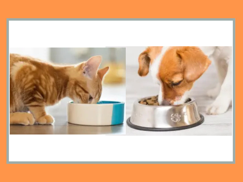 株式会社イトウアンドカンパニーリミテッドの求人・転職情報