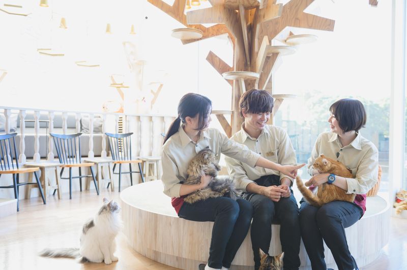 猫カフェMOCHA(モカ)イオンモール東久留米店のアルバイト・バイト求人情報-03