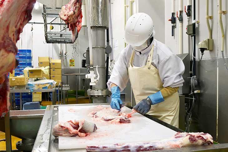 福岡食肉販売株式会社の求人・転職情報