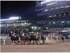 トータリゼータカスタマサービス株式会社　園田競馬場のアルバイト・バイト求人情報