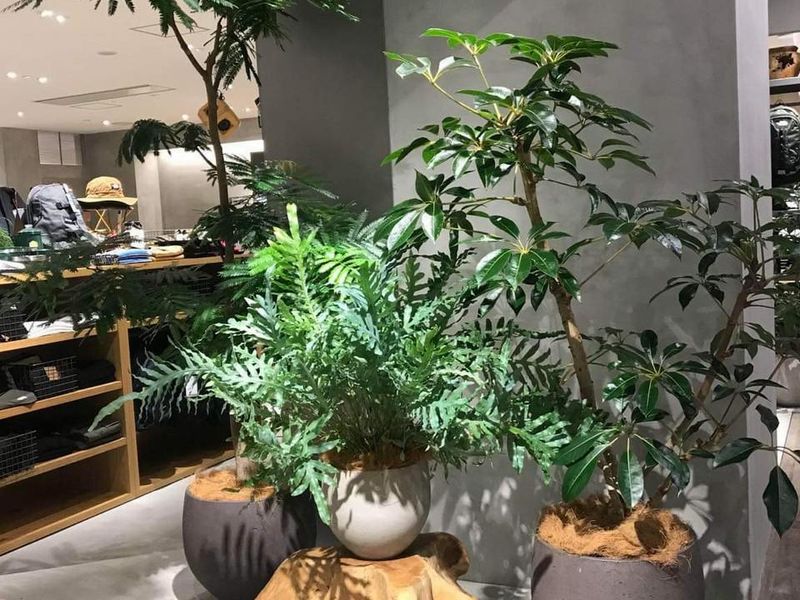 有限会社ドガ　本社