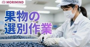 株式会社モリマインドの求人・転職情報