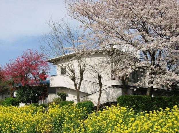 社会福祉法人恵美寿苑 養護老人ホーム岡部ビーラの求人・転職情報