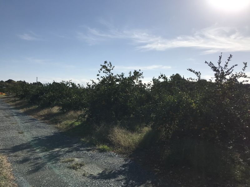 まるや農園のアルバイト・バイト求人情報-02