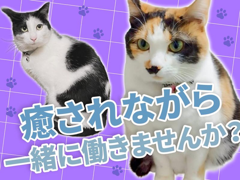 にゃおんJOSO(株式会社なか扇)のアルバイト・バイト求人情報-02