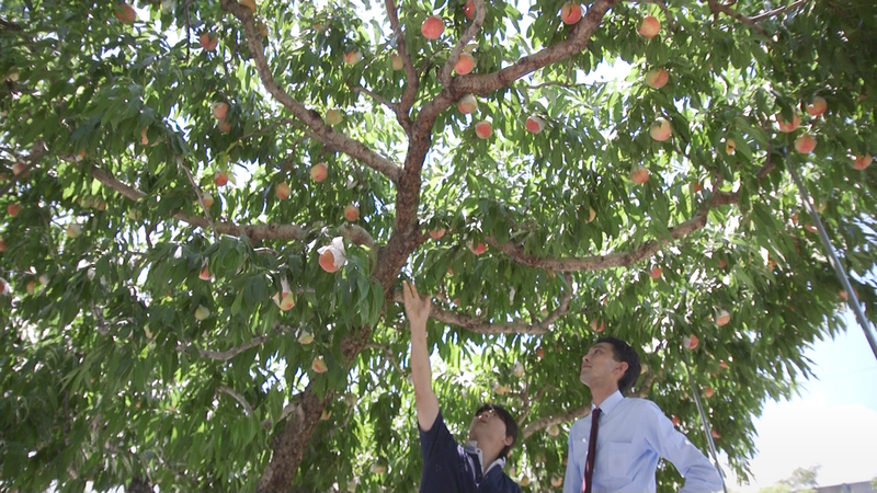 株式会社ファームステーションのアルバイト・バイト求人情報-03