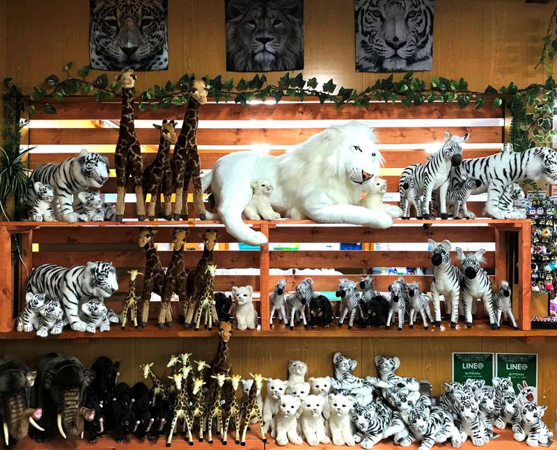 那須サファリパークのアルバイト・バイト求人情報-02