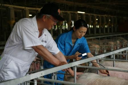 グローバルピッグファーム株式会社-0010の求人・転職情報