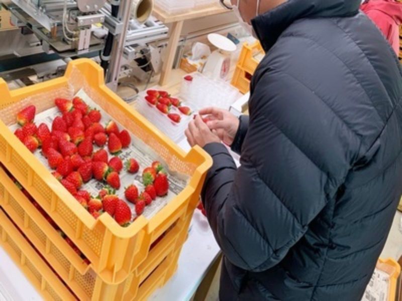 株式会社UEDAの求人・転職情報