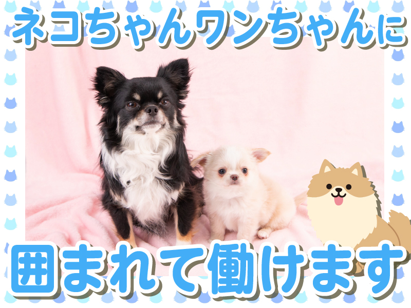 DOG&CAT JOKER コピス吉祥寺店のアルバイト・バイト求人情報-02
