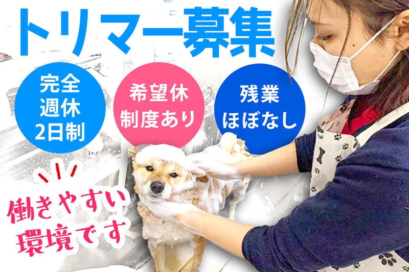 ブンブン動物病院の求人・転職情報