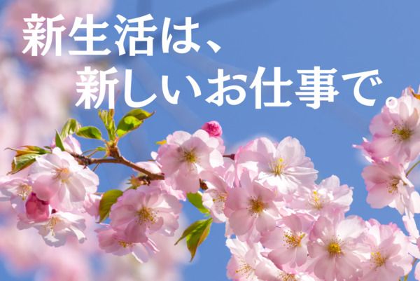 株式会社アイニードの求人・転職情報