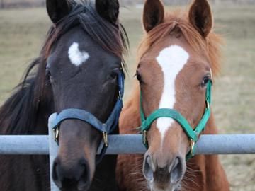 SPD株式会社-0045の求人・転職情報