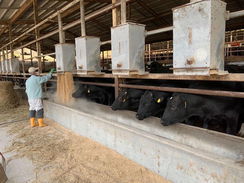 有限会社手塚畜産のアルバイト・バイト求人情報-03