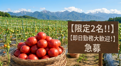 株式会社ライフタイム.