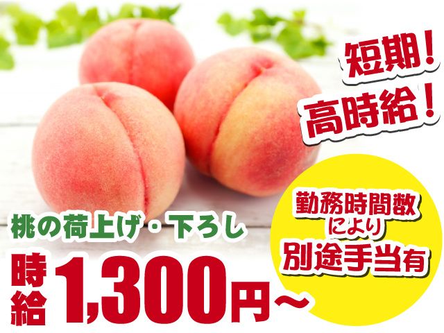 JAふえふき 一宮西統合共選所のアルバイト・バイト求人情報-02