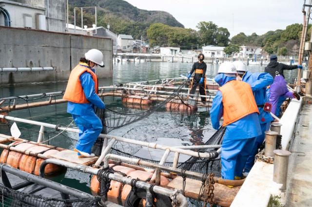 株式会社ダイニチの求人・転職情報