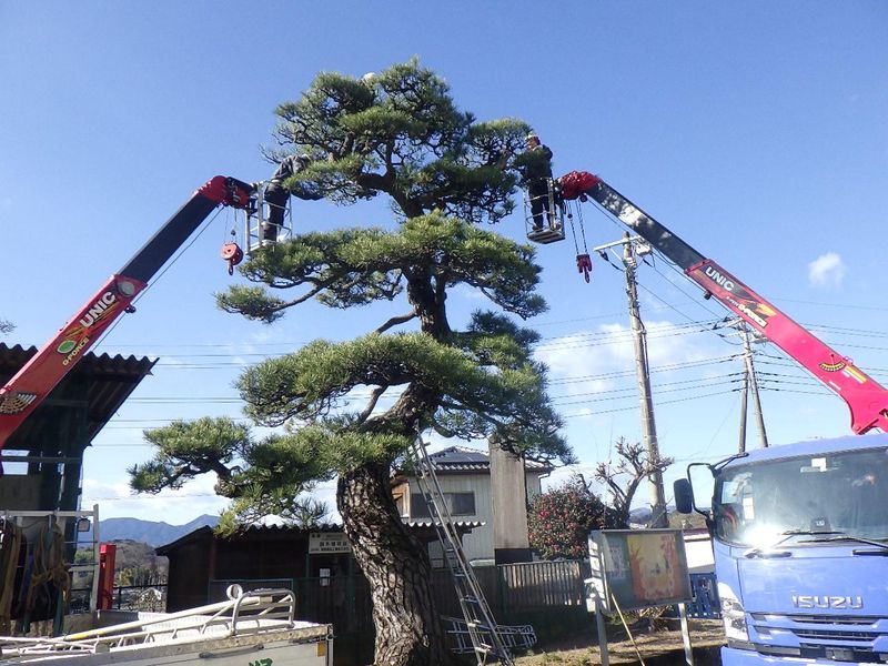 株式会社増田造園の求人・転職情報