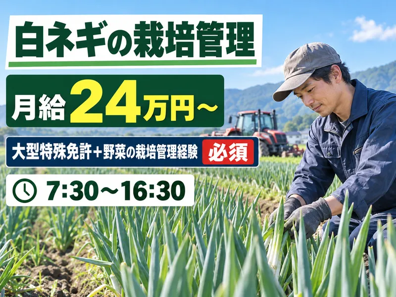 三つ星株式会社の求人・転職情報