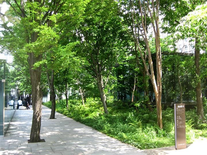 内山緑地建設株式会社のアルバイト・バイト求人情報-01