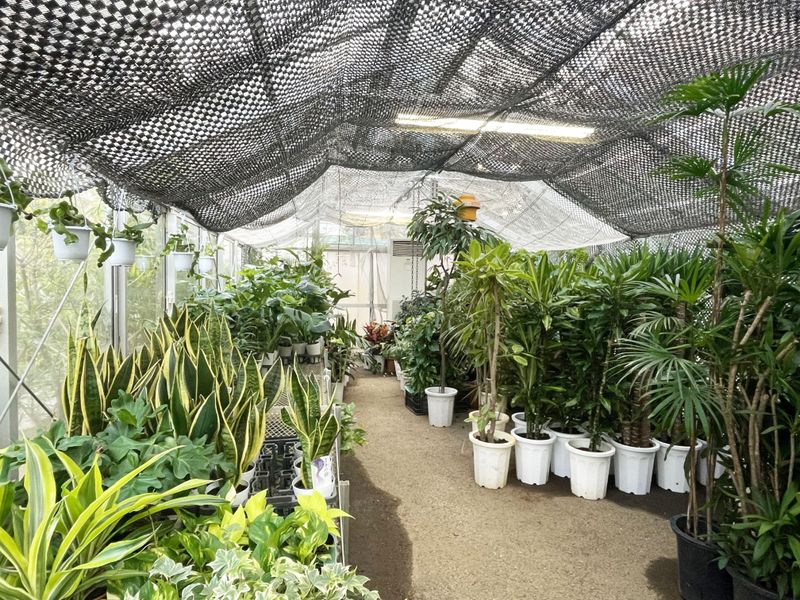 株式会社西花園のアルバイト・バイト求人情報-02