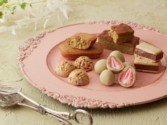 株式会社レガリーノの求人・転職情報