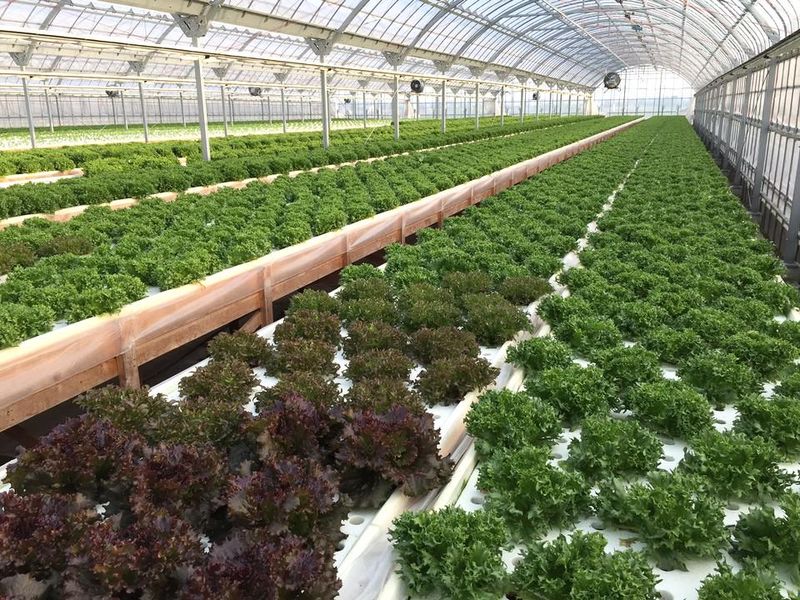 ビッグヤード株式会社の求人・転職情報