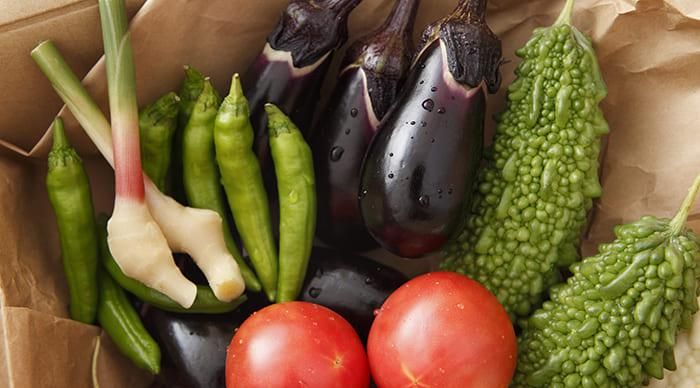 SOGO-PLANT 本社営業部/AJ010144S