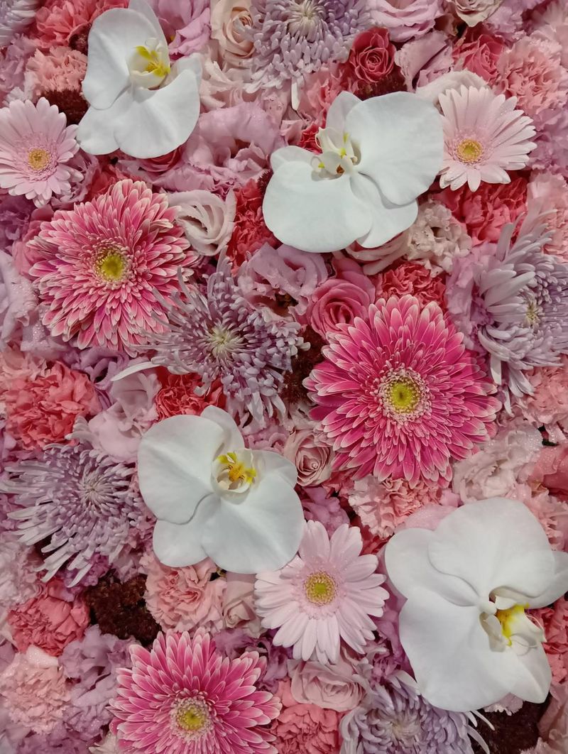 マイ・サクセス株式会社　大阪営業所のアルバイト・バイト求人情報-04