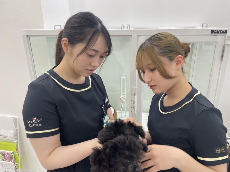 Cattleya　新宿店のアルバイト・バイト求人情報-02