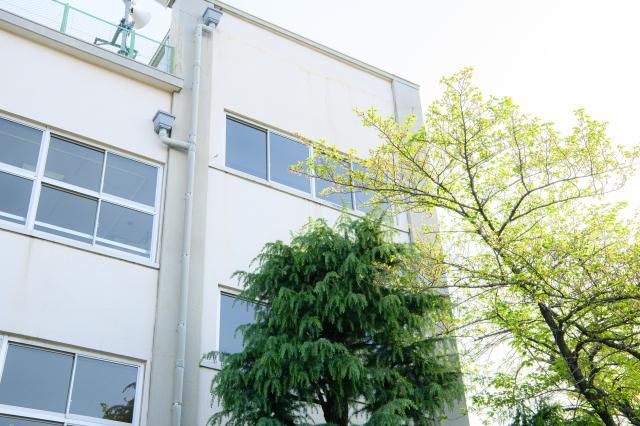 株式会社コスモ/横浜市中区の学校