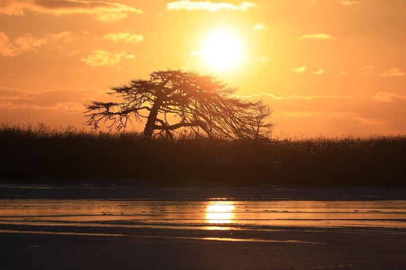 ヤマト運輸株式会社の求人・転職情報