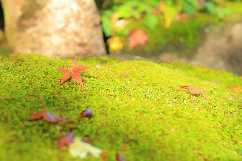 株式会社サービスエース　本社のアルバイト・バイト求人情報-03