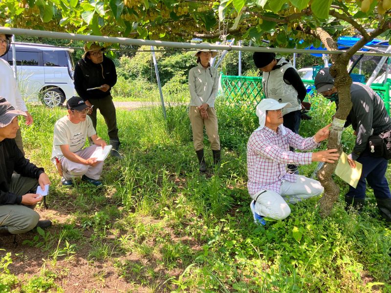 群馬圃場のアルバイト・バイト求人情報-04