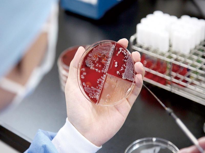 一般財団法人阪大微生物病研究会