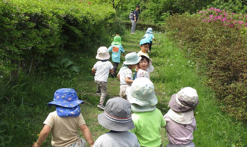 特定非営利活動法人みどり会小雀みどり保育園の求人・転職情報